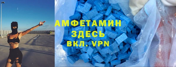 ПСИЛОЦИБИНОВЫЕ ГРИБЫ Пересвет