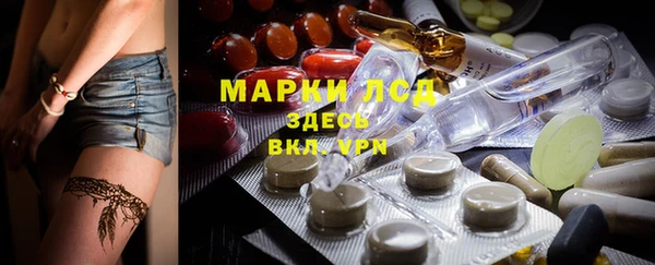 ПСИЛОЦИБИНОВЫЕ ГРИБЫ Пересвет