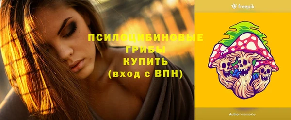 ПСИЛОЦИБИНОВЫЕ ГРИБЫ Пересвет